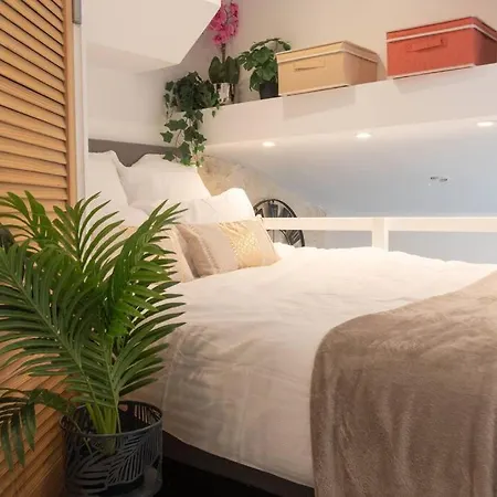 Duplex Parisien En Face Metro13